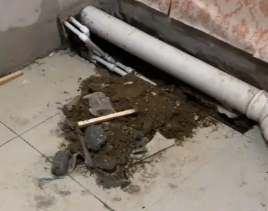 澜沧卫生间漏水检测哪家好